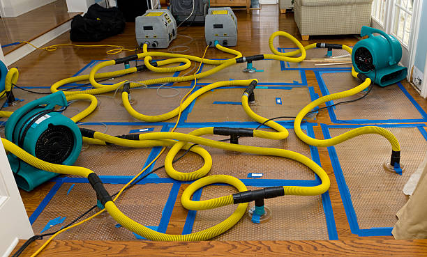 Professional Water Damage Restoration technician working in Lester, IA